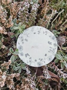 Võluaia alustaldrik