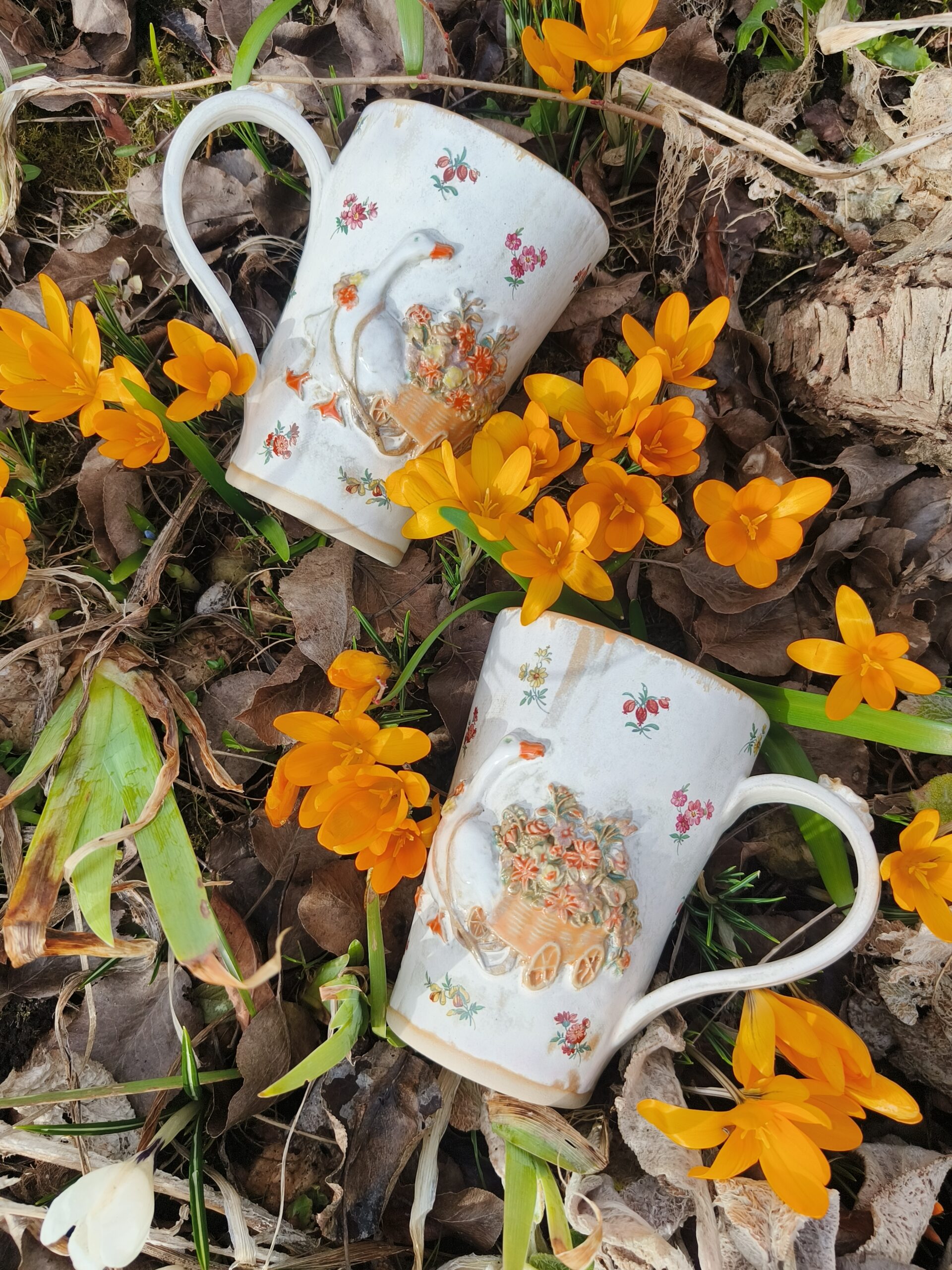 Hane ja lillevankri tass