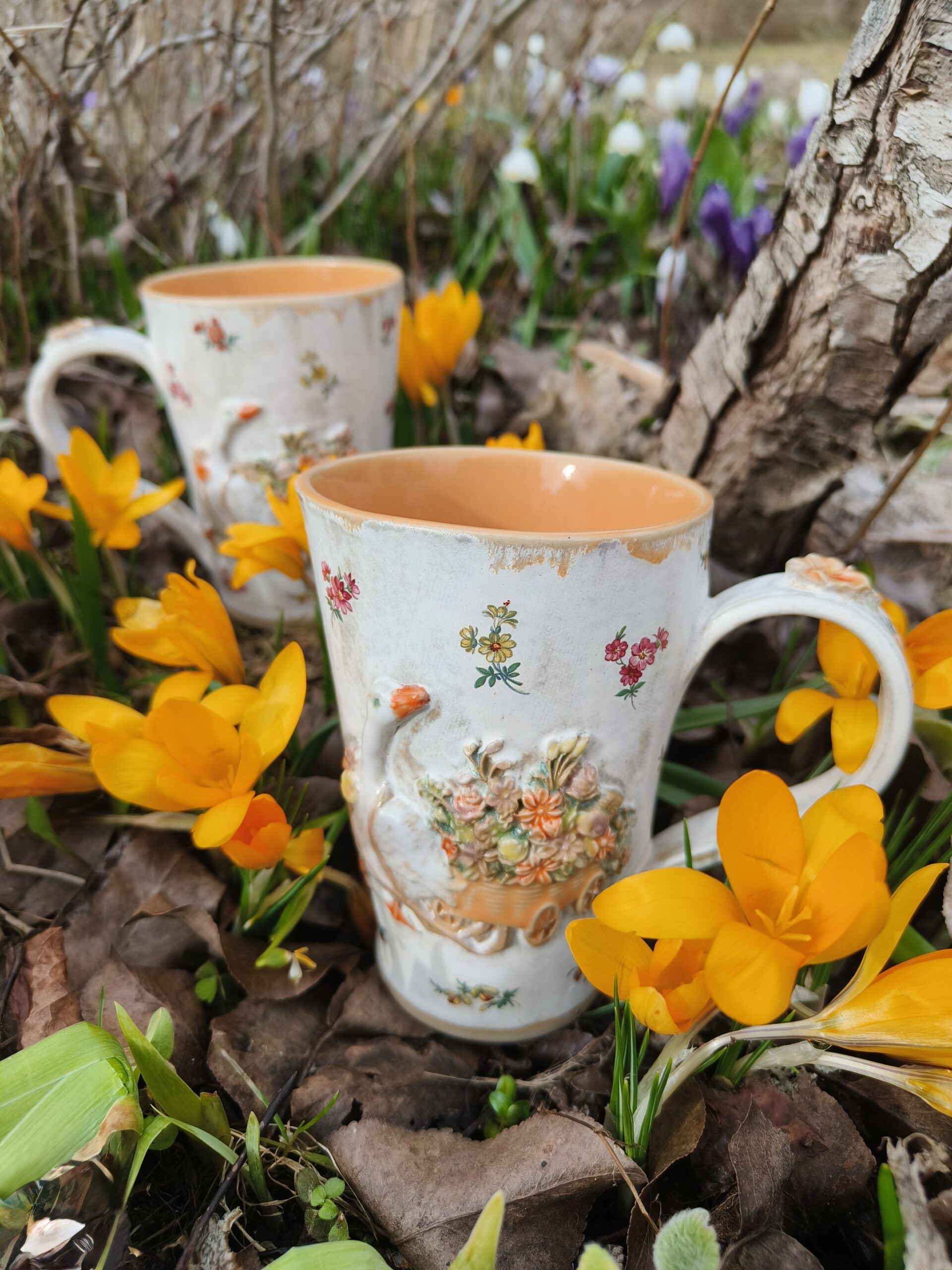 Hane ja lillevankri tass