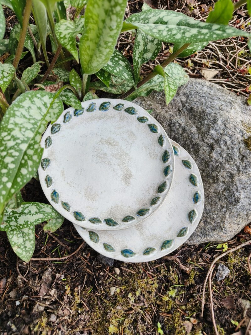Lehekestega taldrik