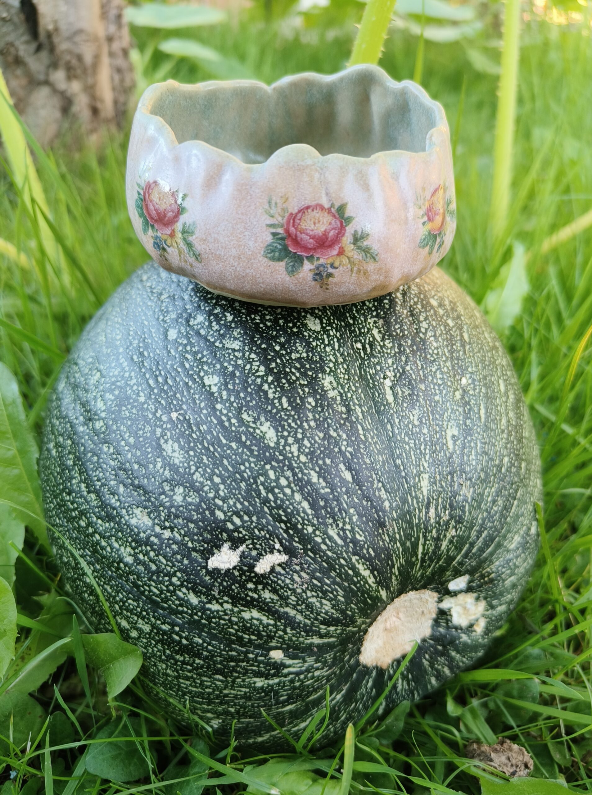 Roosa-roheline kausike - Image 3