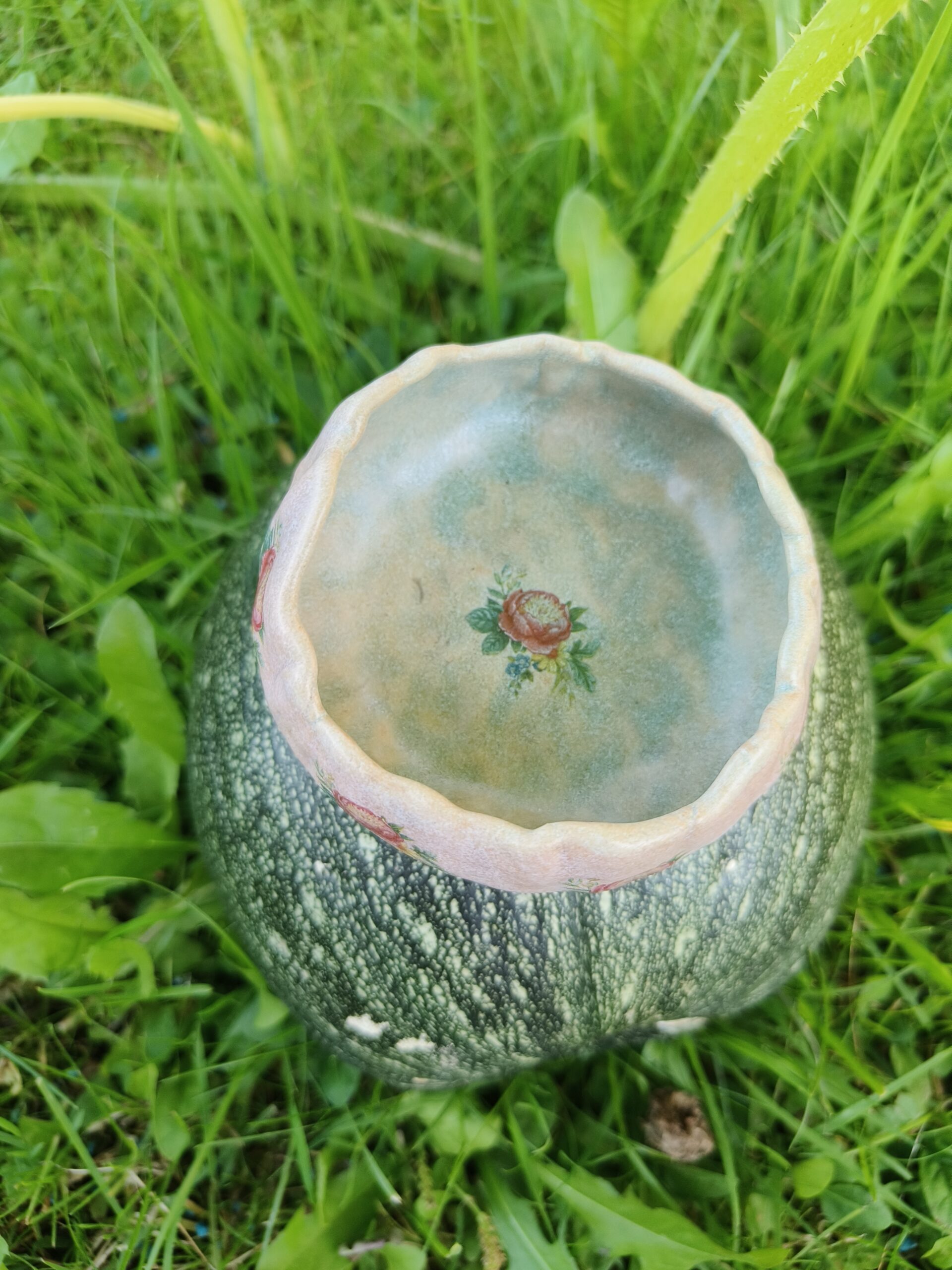 Roosa-roheline kausike - Image 4