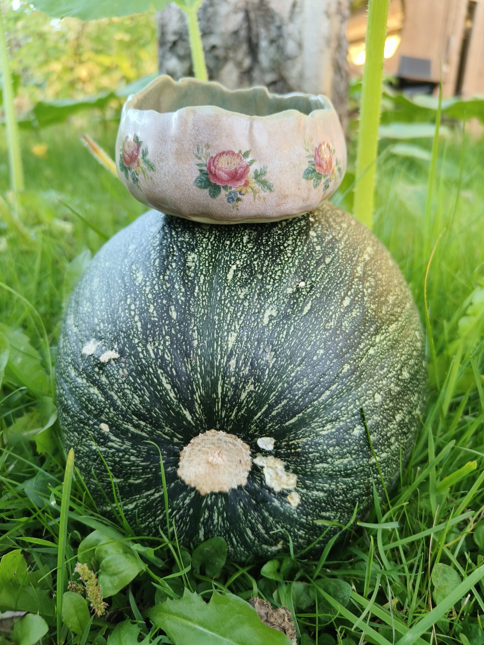 Roosa-roheline kausike - Image 2