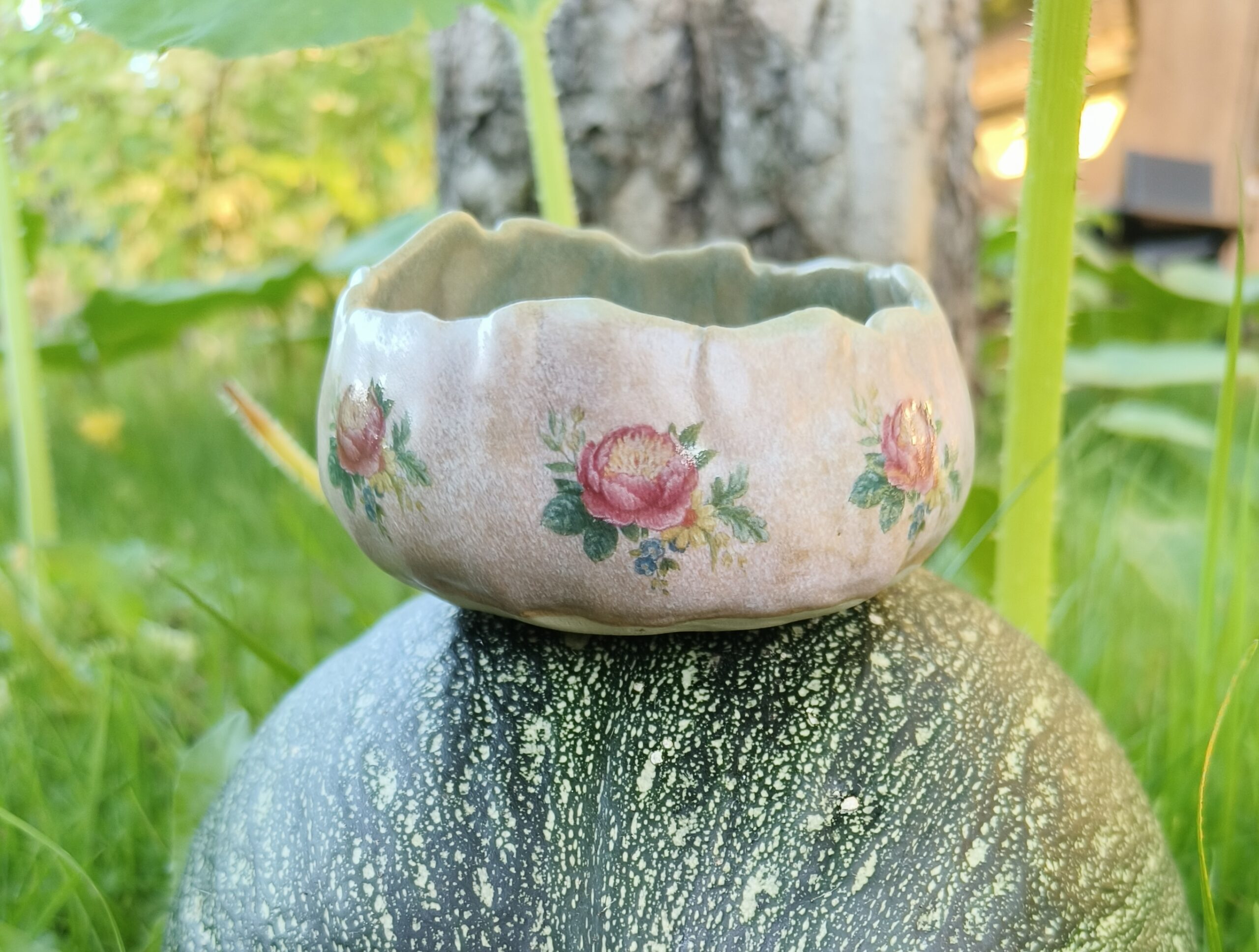 Roosa-roheline kausike