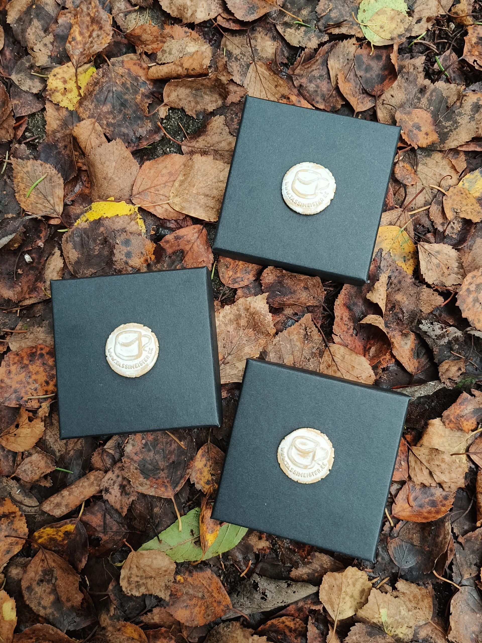 Inglitega kõrvarõngad - Image 5