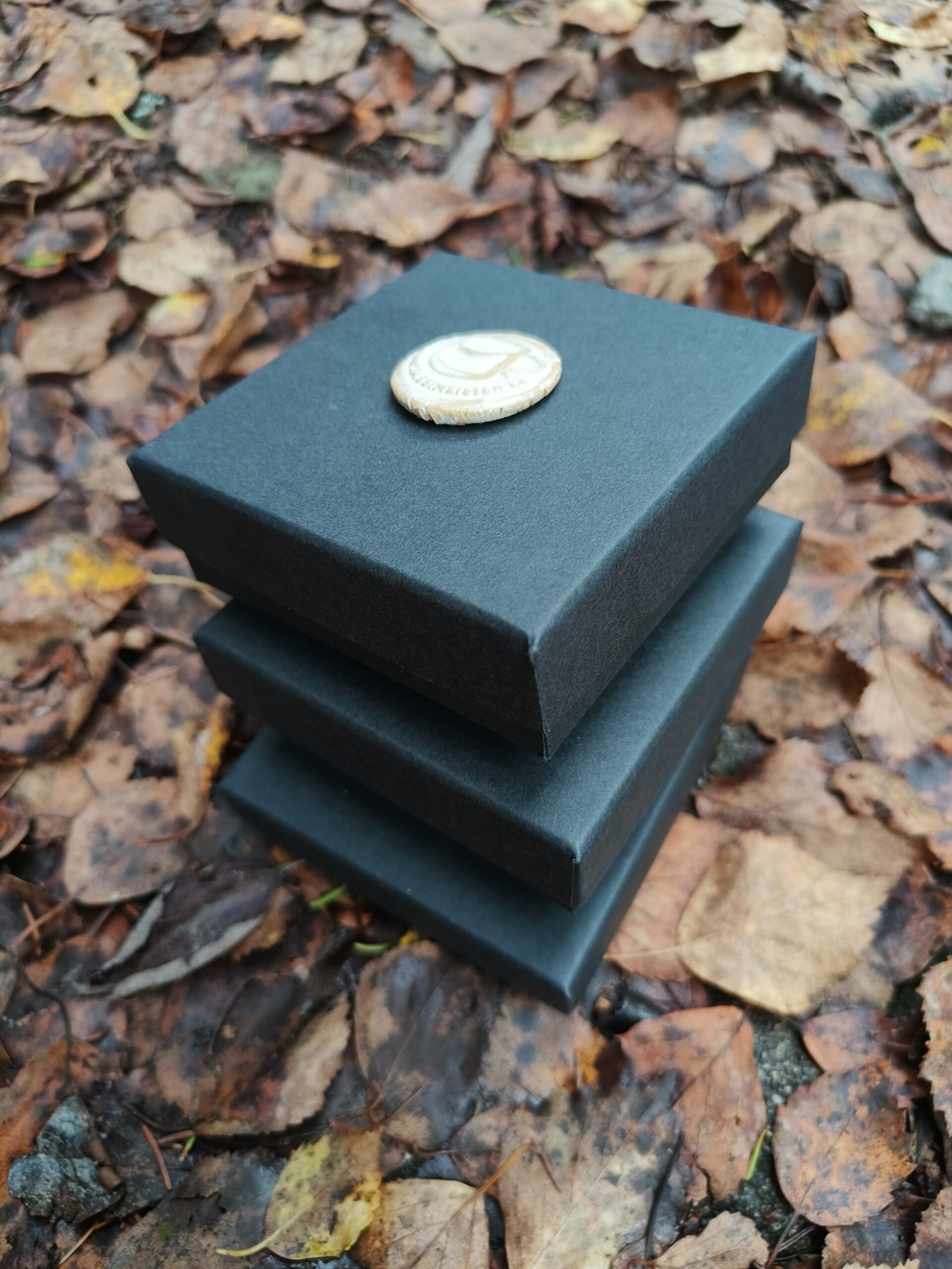 Inglitega kõrvarõngad - Image 4