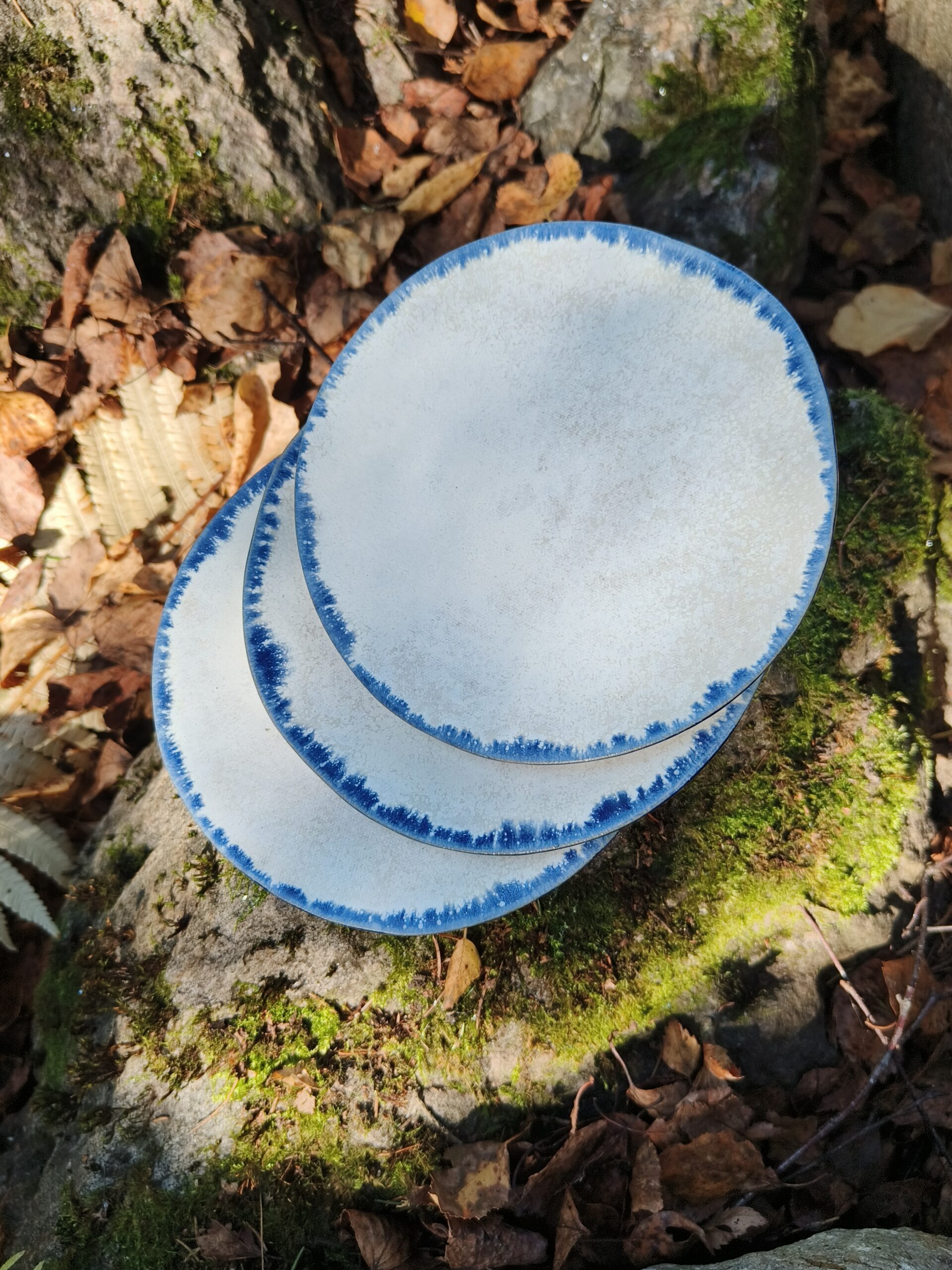 Sinise äärega alustaldrik