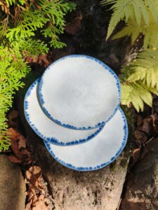 Sinise äärega alustaldrik