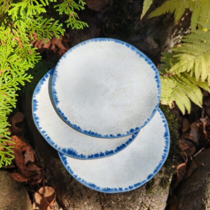 Sinise äärega alustaldrik