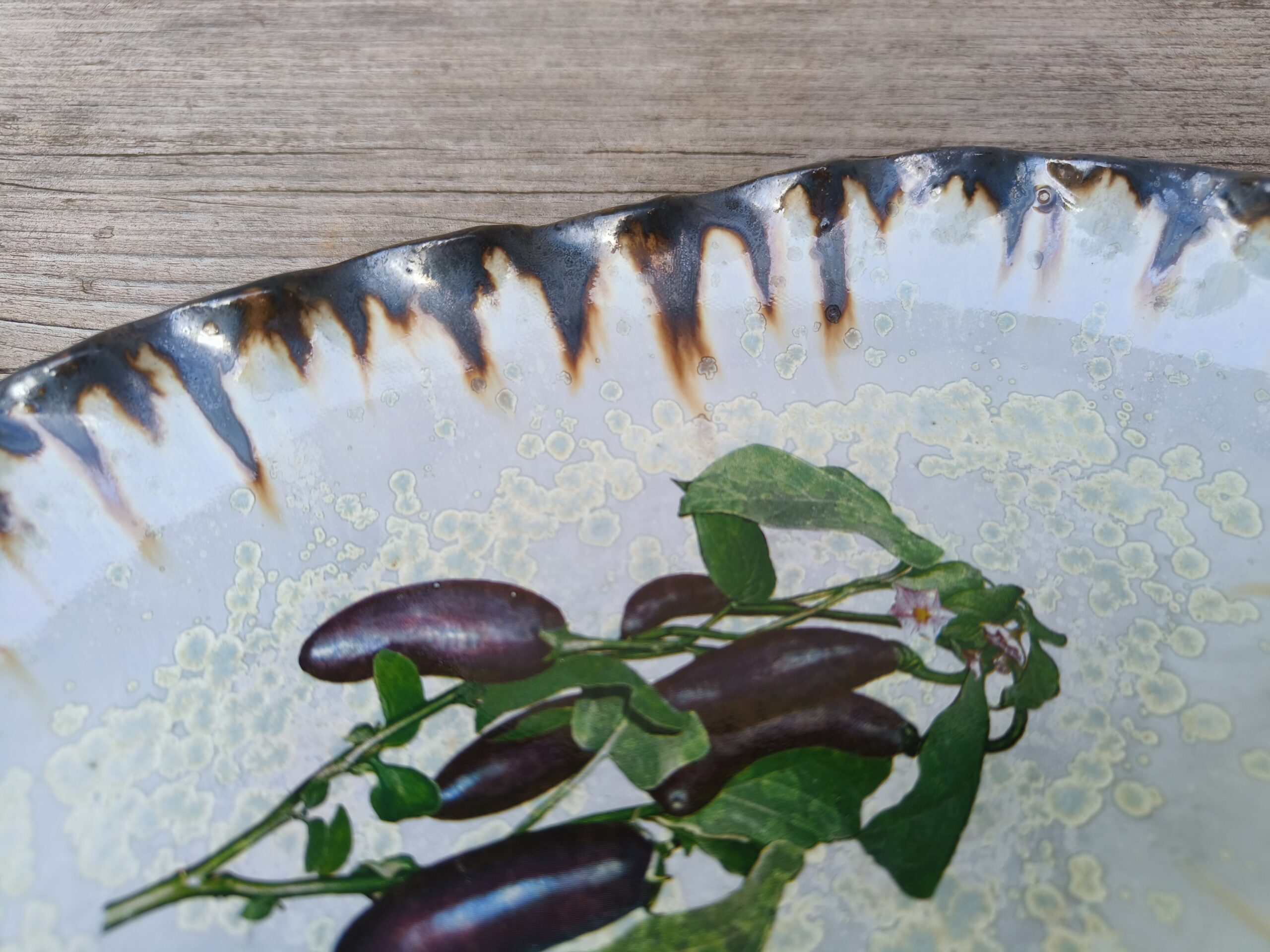 Baklažaanivaagen - Image 10