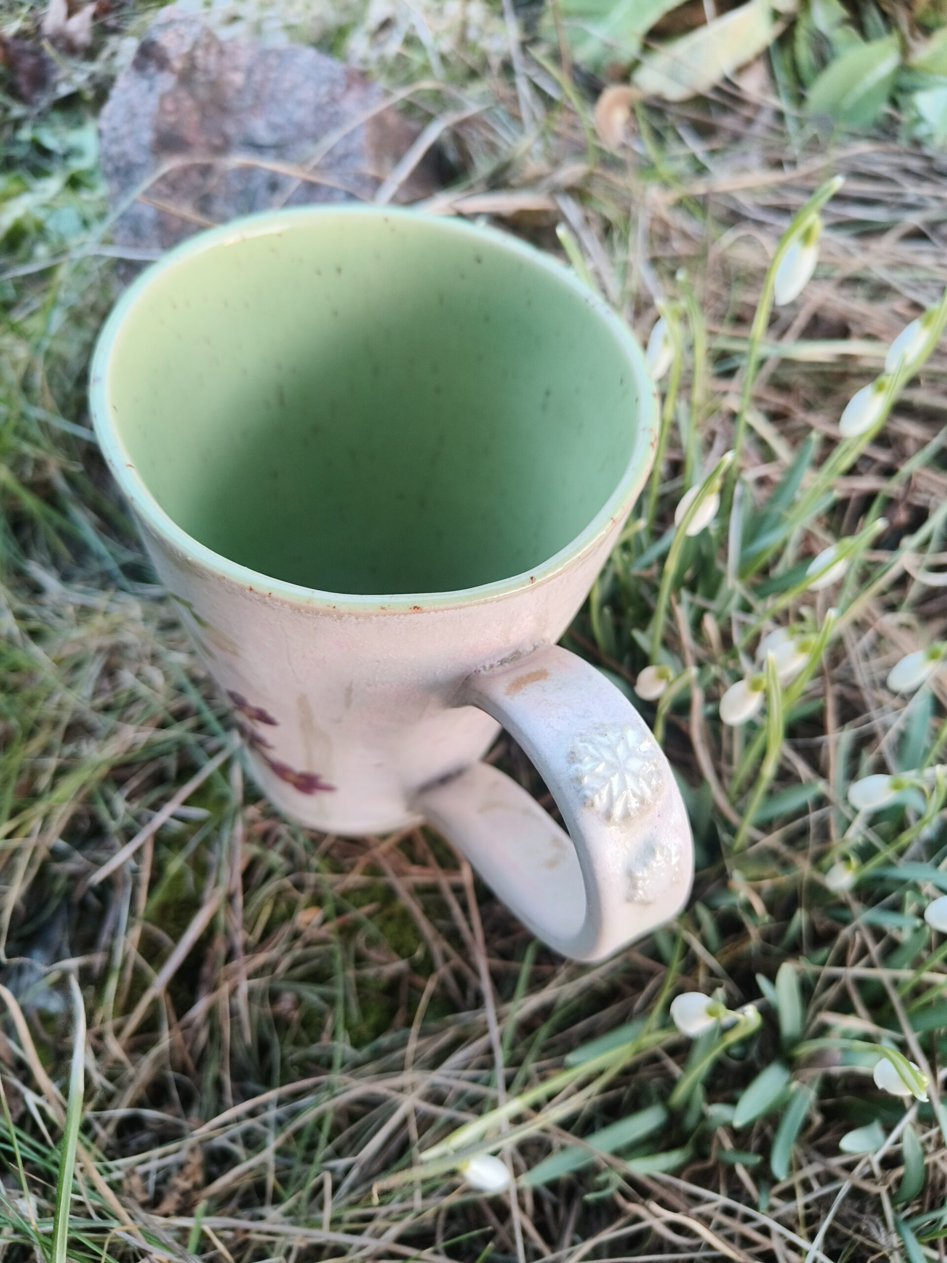 Sinililletass - Image 3