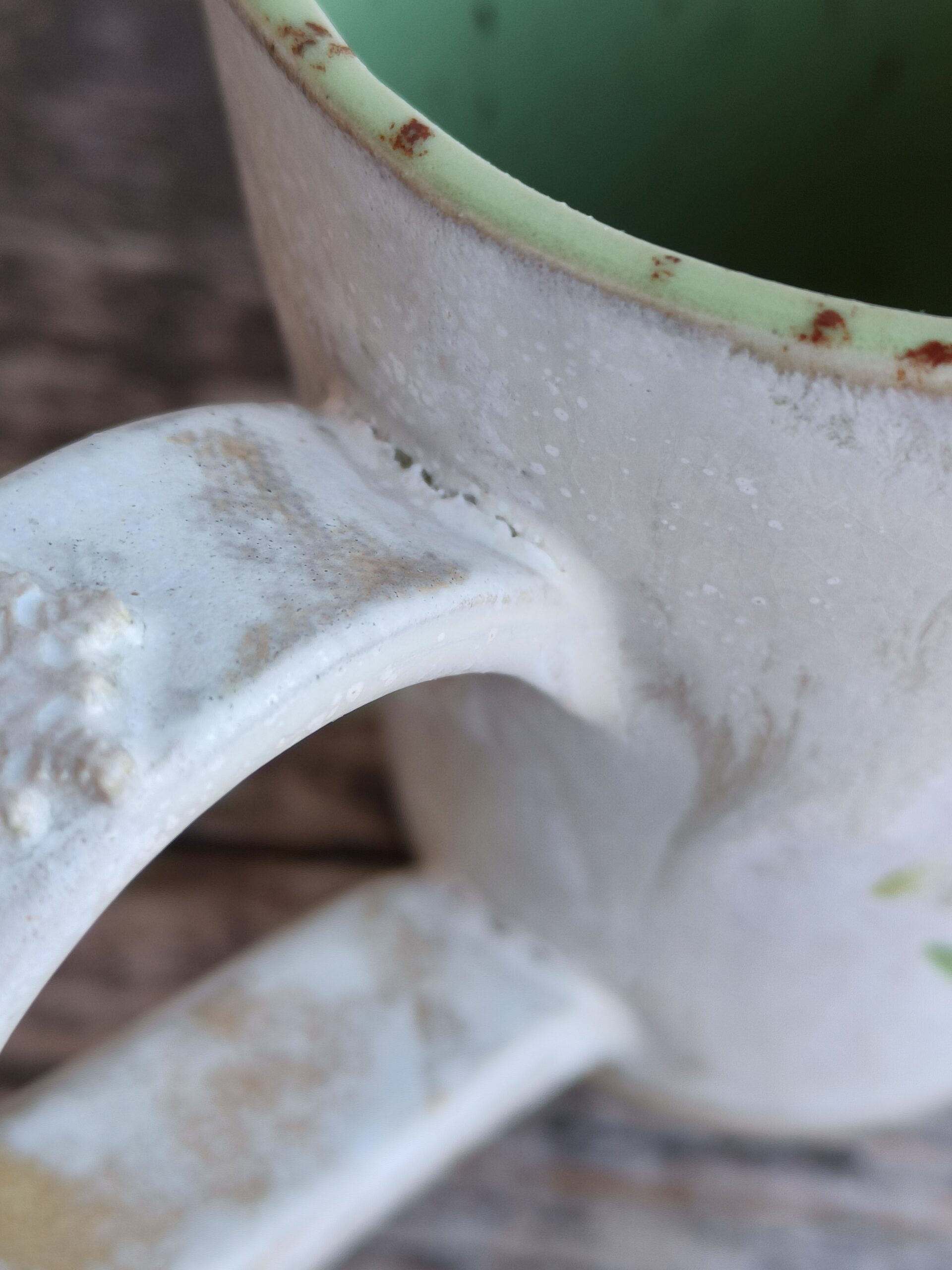 Lumikellukesetass - Image 16