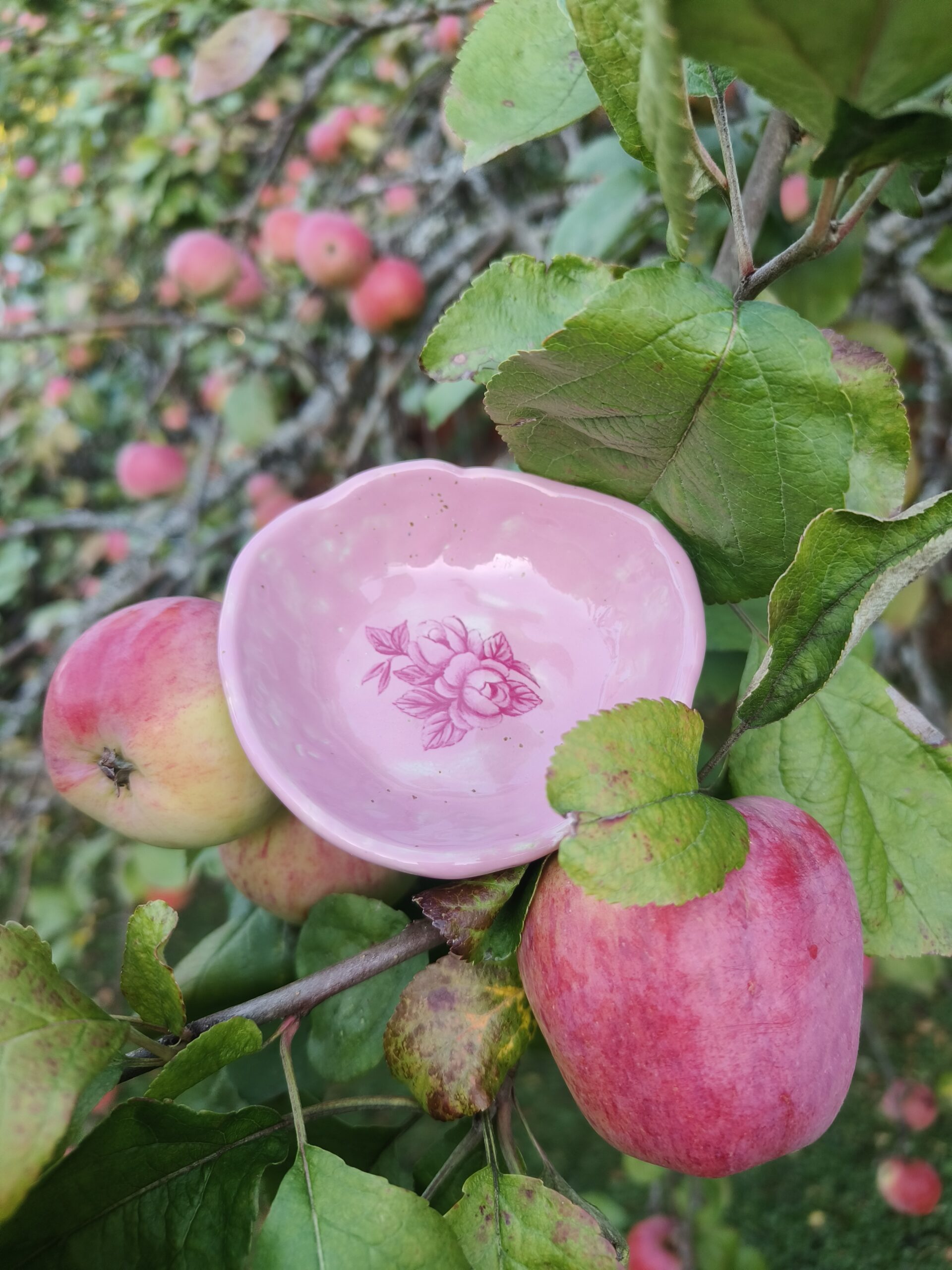 Roosa kausike roosidega - Pilt 2